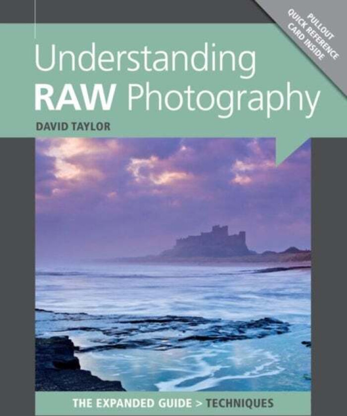 Understanding RAW Photography av D Taylor