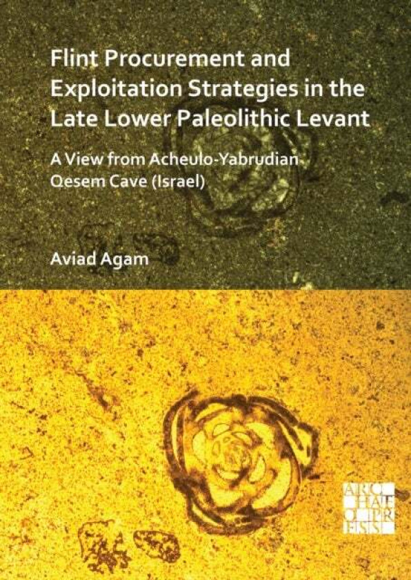 Flint Procurement and Exploitation Strategies in the Late Lower Paleolithic Levant av Dr Aviad (Researcher Tel Aviv University) Agam