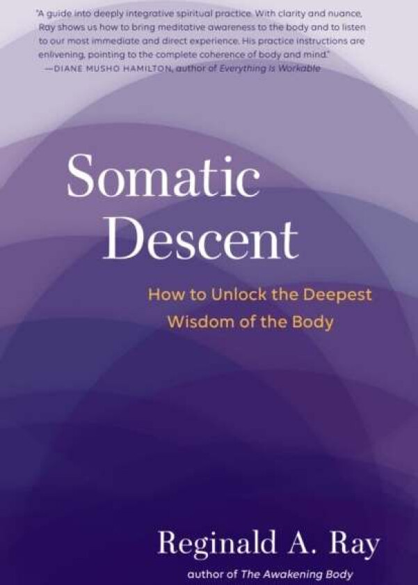 Somatic Descent av Reginald Ray