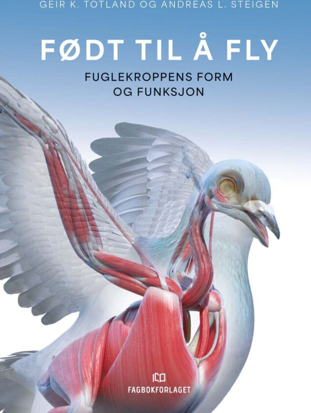 Født til å fly av Andreas L. Steigen, Geir K. Totland