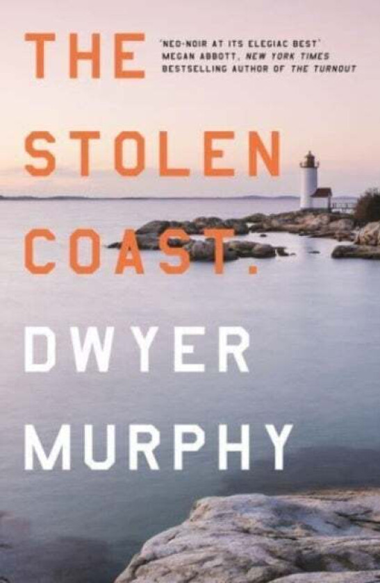 The Stolen Coast av Dwyer Murphy
