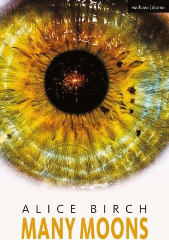 Many Moons av Alice (Author) Birch