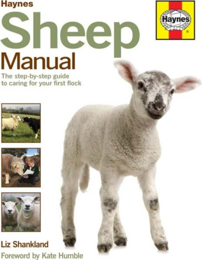 Sheep Manual av Liz Shankland