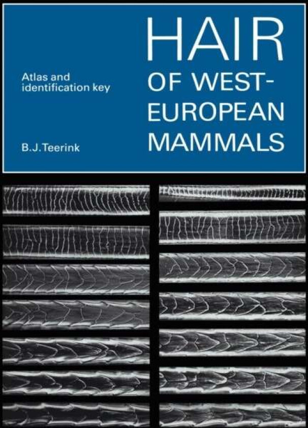 Hair of West European Mammals av B. J. Teerink