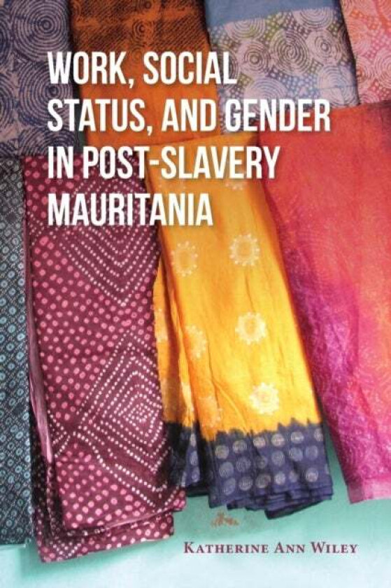 Work, Social Status, and Gender in Post-Slavery Mauritania av Katherine A. Wiley