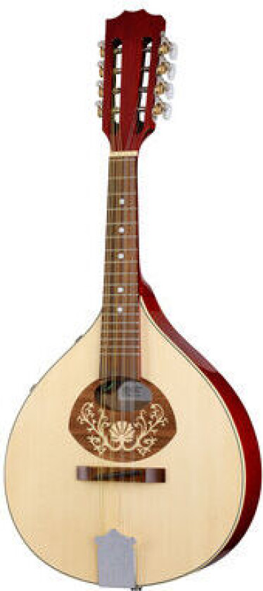 Portuguese Mandolin 1-P