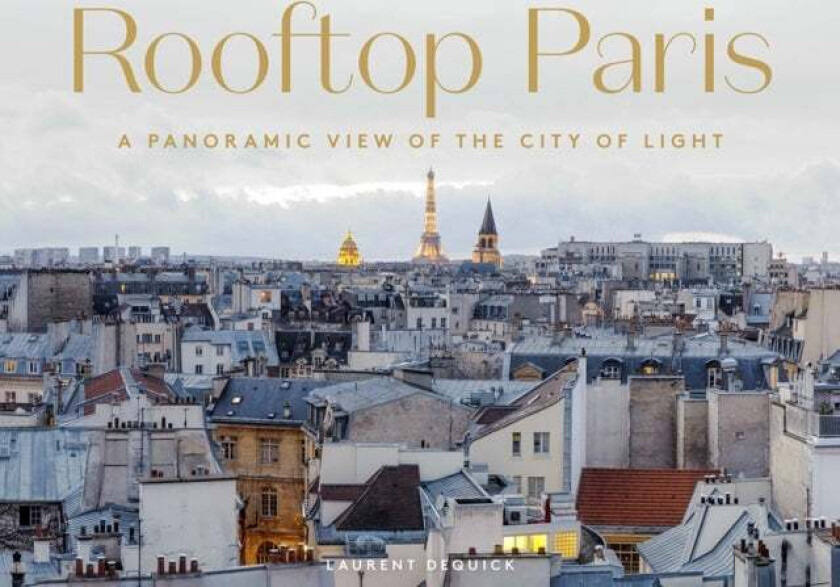 Rooftop Paris av Laurent Dequick
