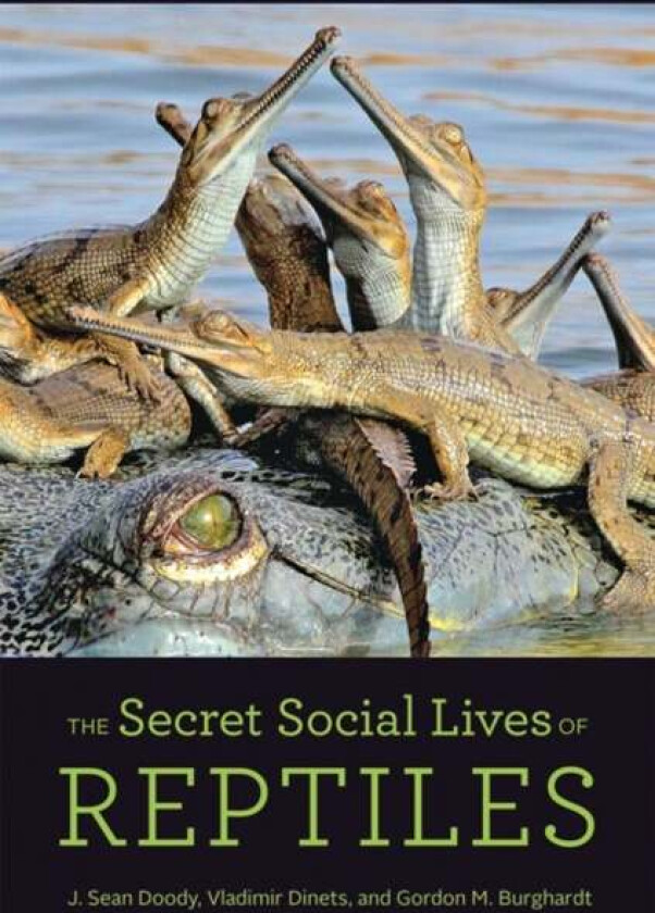 The Secret Social Lives of Reptiles av J. Sean (University of Tennessee) Doody, Vladimir (University of Tennessee Knoxville) Dinets, Gordon M. (Alumni