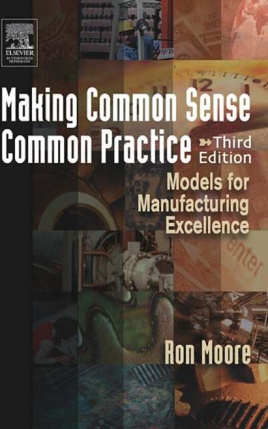 Making Common Sense Common Practice av Ron Moore