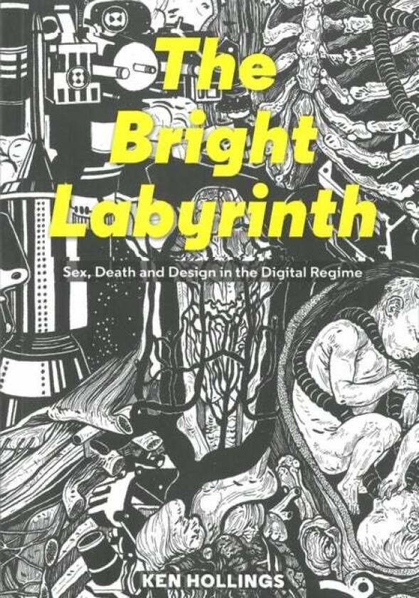 Bright Labyrinth av Ken Hollings