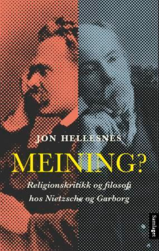 Meining? av Jon Hellesnes