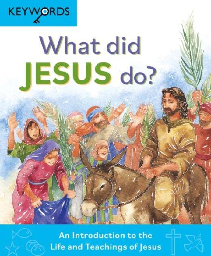 What Did Jesus Do? av Deborah Lock