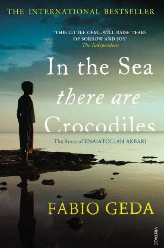 In the Sea There Are Crocodiles av Fabio Geda