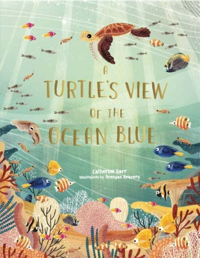 A Turtle's View of the Ocean Blue av Catherine Barr