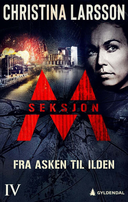 Seksjon M av Christina Larsson