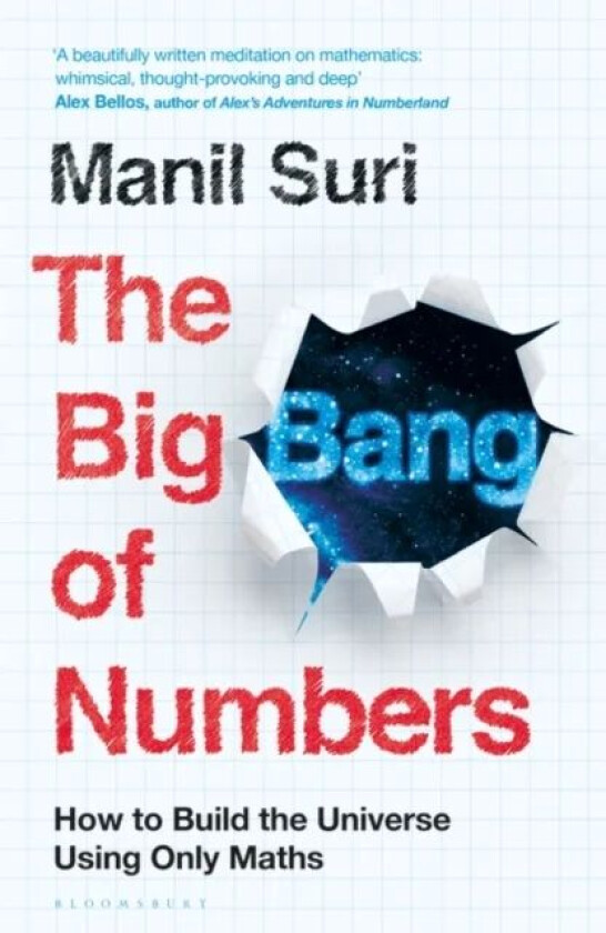 The Big Bang of Numbers av Manil Suri