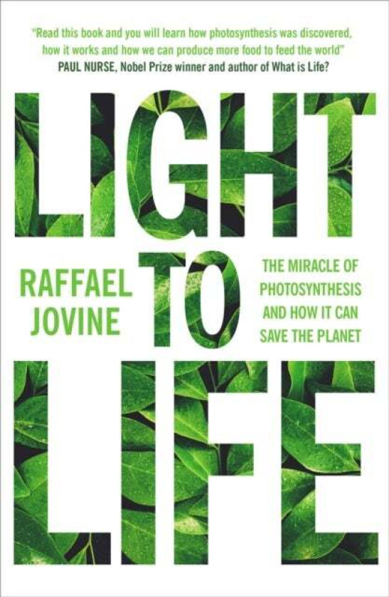 Light to Life av Raffael Jovine