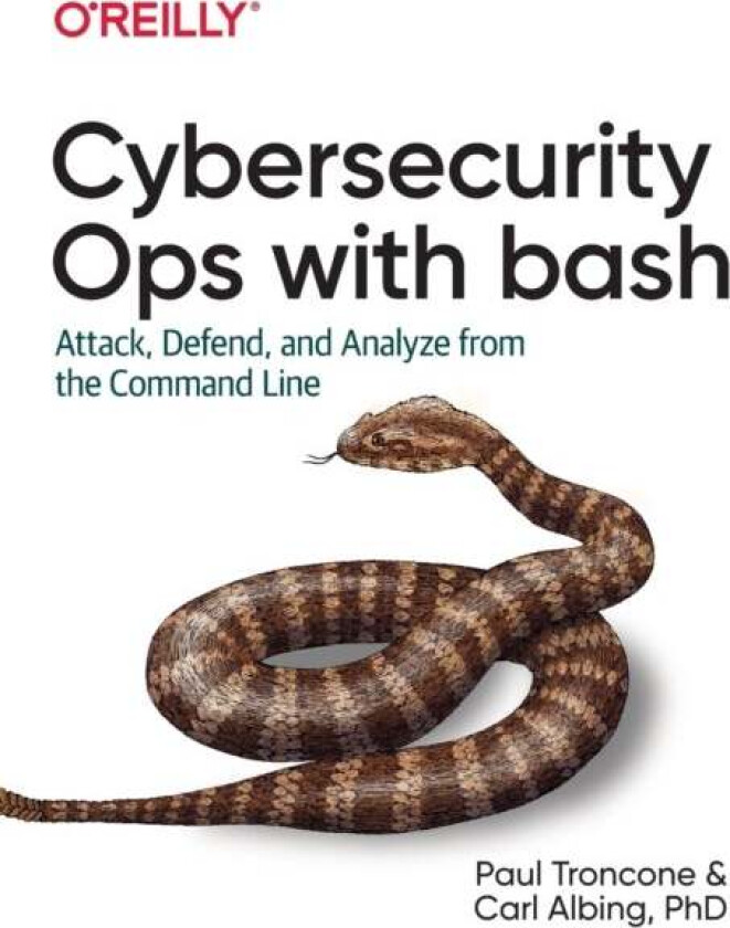 Rapid Cybersecurity Ops av Paul Troncone, Carl Albing