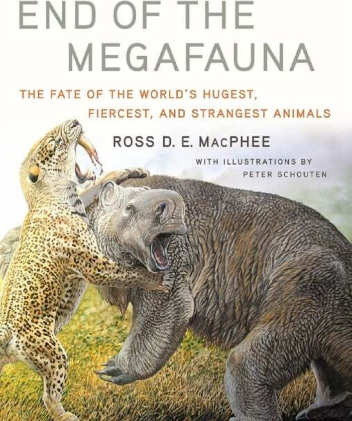 End of the Megafauna av Ross D E MacPhee