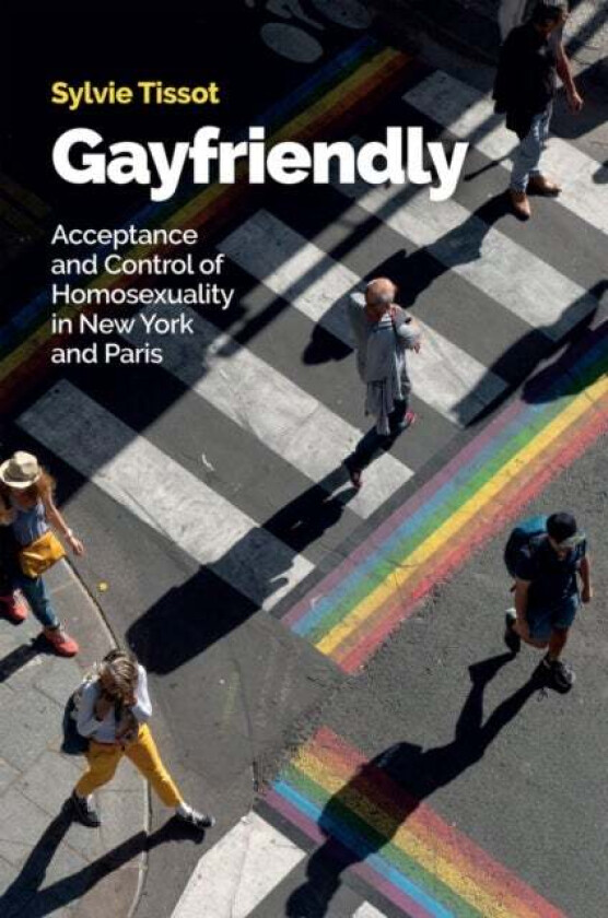 Gayfriendly av Sylvie Tissot