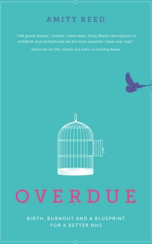 Overdue av Amity Reed