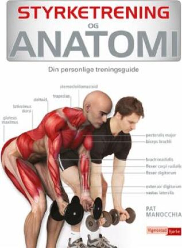 Styrketrening og anatomi av Pat Manocchia