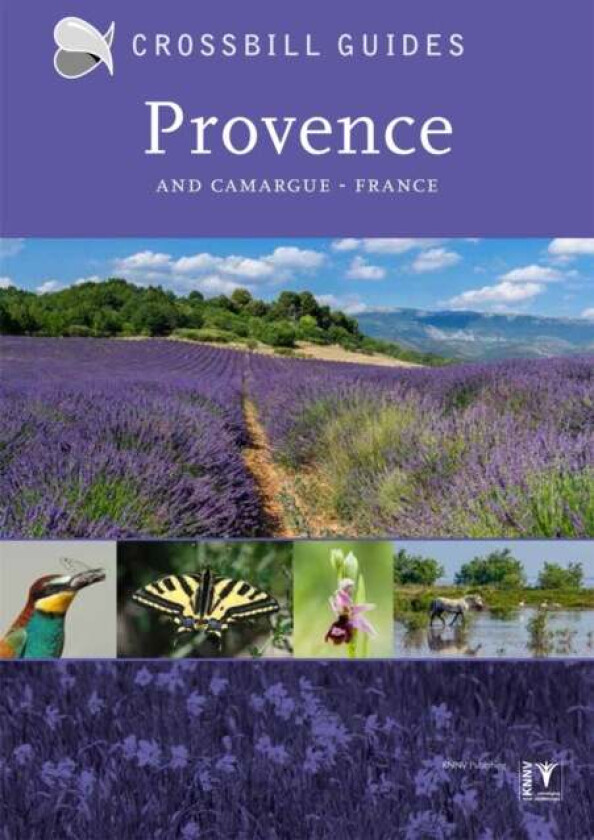 Provence av Dirk Hilbers, Constant Swinkels, Albert Vliegenthart