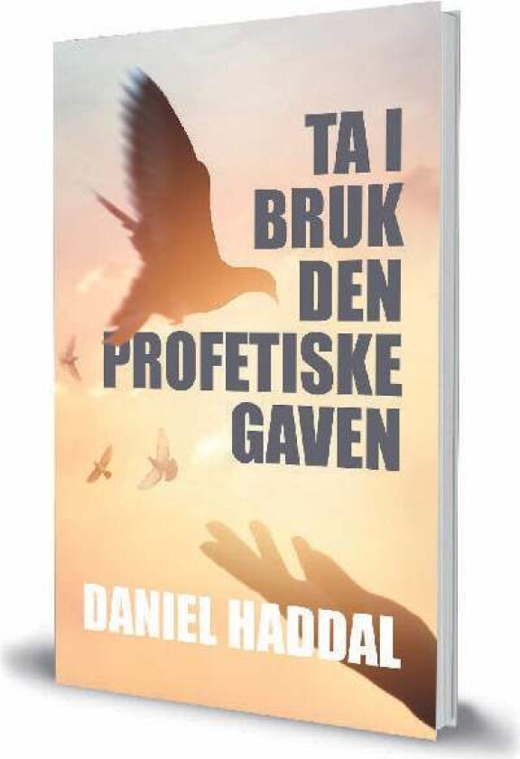Ta i bruk den profetiske gaven av Daniel Haddal