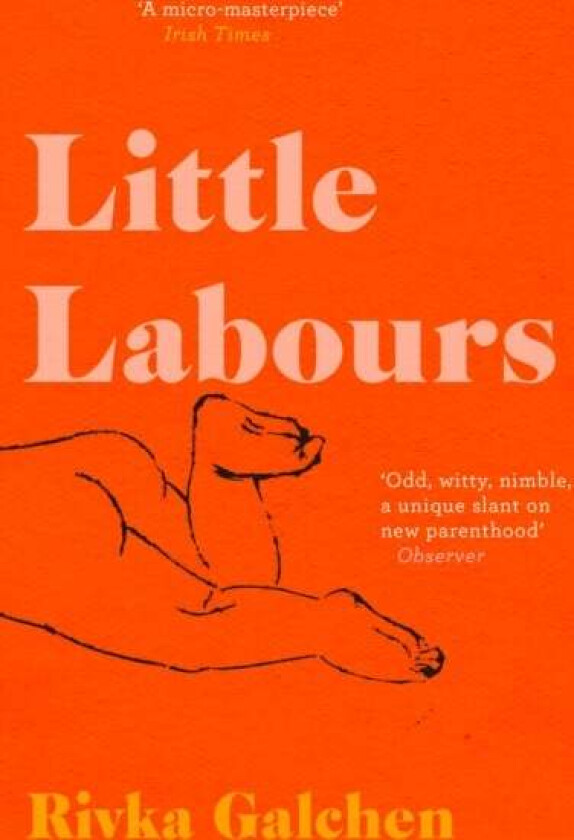Little Labours av Rivka Galchen