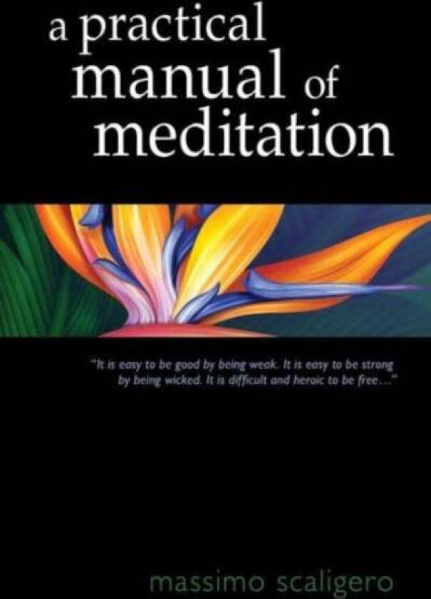 A Practical Manual of Meditation av Massimo Scaligero
