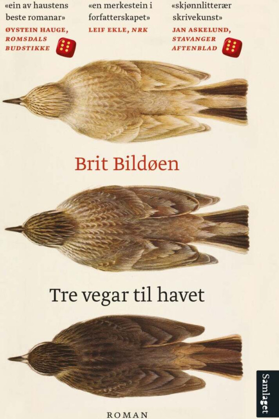 Tre vegar til havet av Brit Bildøen