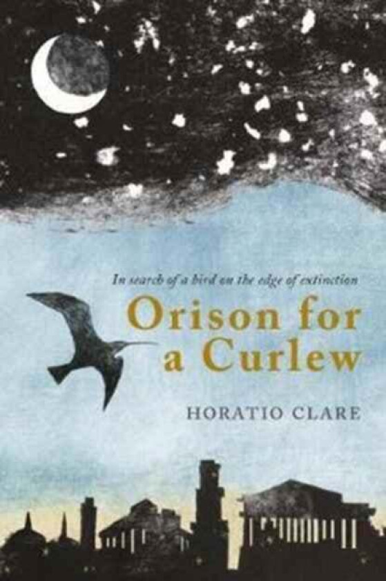 Orison for a Curlew av Horatio Clare