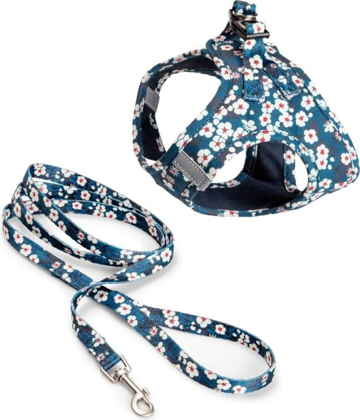 Basic Blossom Kattesele & Kobbel Blå (L)