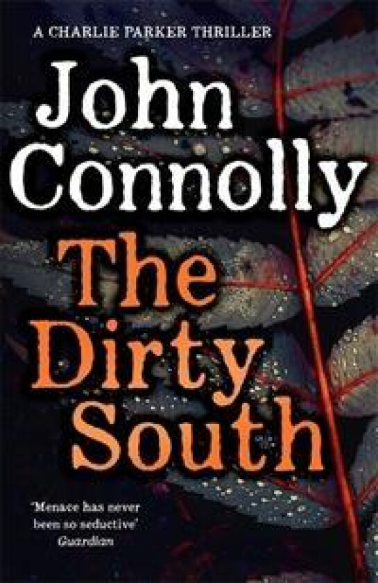 The Dirty South av John Connolly
