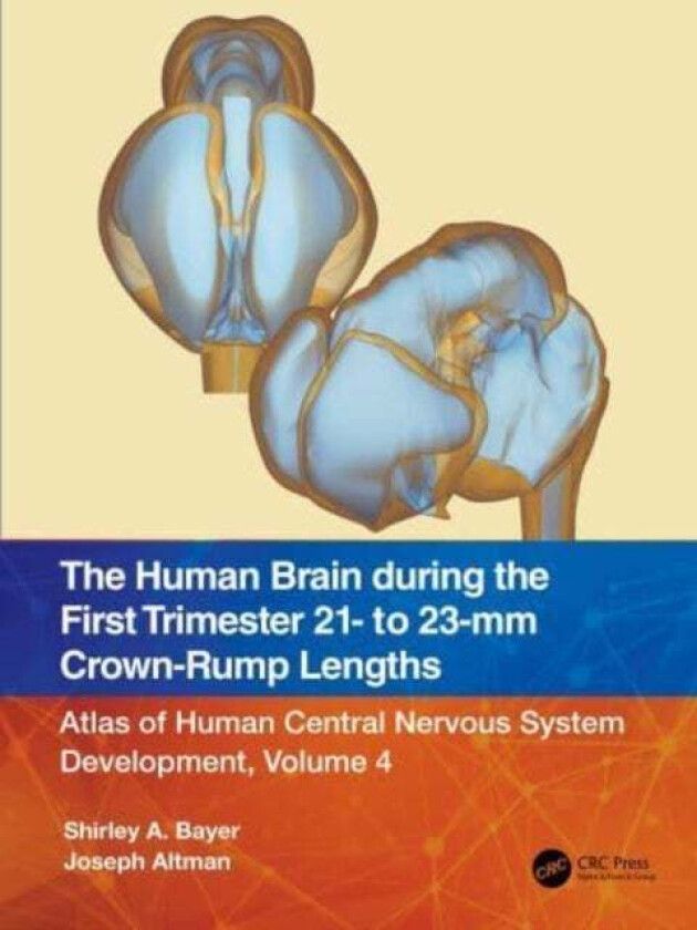 The Human Brain during the First Trimester 21- to 23-mm Crown-Rump Lengths av Shirley A. (Indianapolis Indiana USA) Bayer, Joseph (Indianapolis Indian