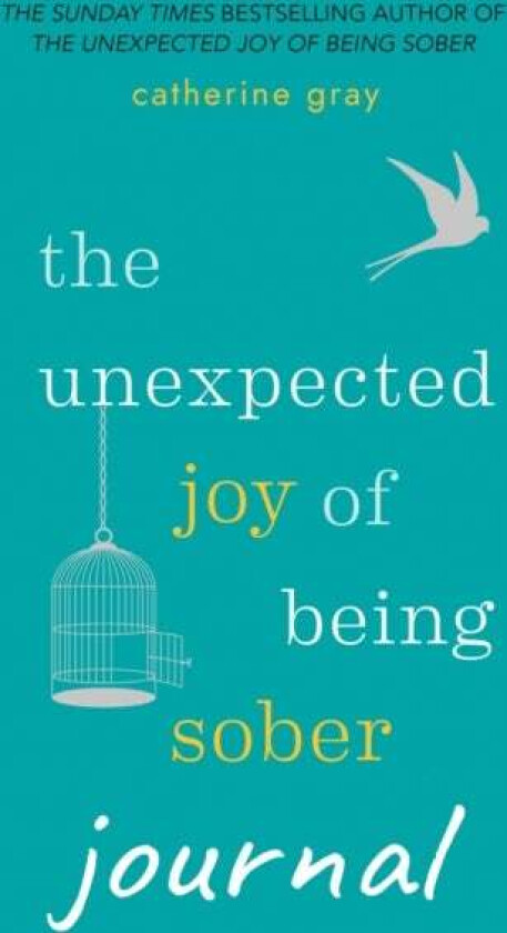 The Unexpected Joy of Being Sober Journal av Catherine Gray