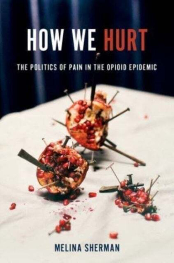 How We Hurt av Melina (Lead Health Researcher Lead Health Researcher Knology) Sherman