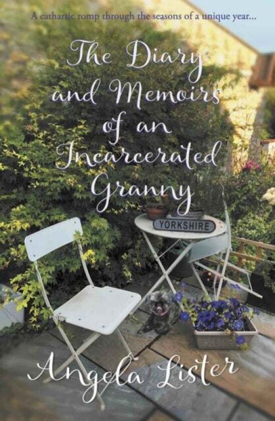 The Diary and Memoirs of an Incarcerated Granny av Angela Lister