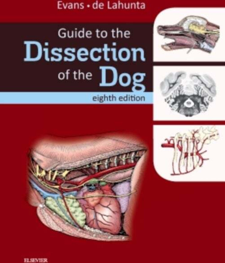 Guide to the Dissection of the Dog av Howard E. PhD (Professor Emeritus of Veterinary and Comparative Anatomy New York State College of Veterinary Med