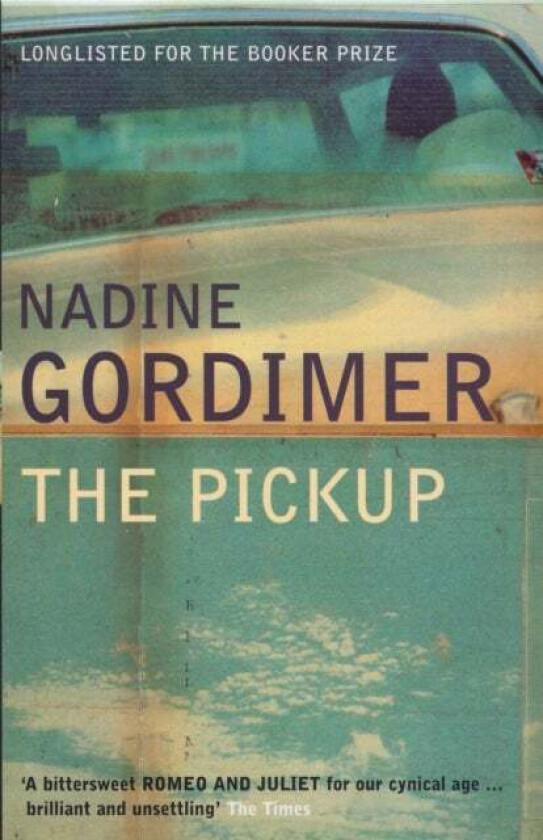 The Pickup av Nadine Gordimer