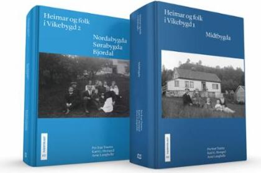 Heimar og folk i Vikebygd av Kari G. Hempel, Arne Langhelle, Per Ivar Tautra