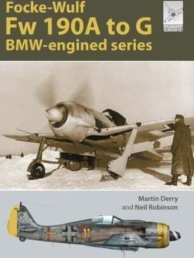 Flight Craft Special 2: The Focke-Wulf Fw 190 av Martin Derry, Neil Robinson