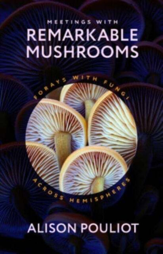 Meetings with Remarkable Mushrooms av Alison Pouliot