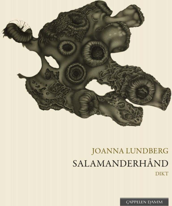 Salamanderhånd av Joanna Lundberg