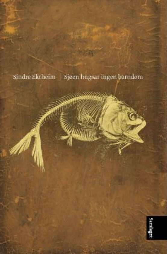 Sjøen hugsar ingen barndom av Sindre Ekrheim
