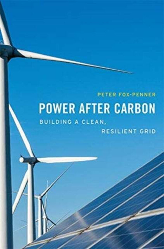 Power after Carbon av Peter Fox-Penner
