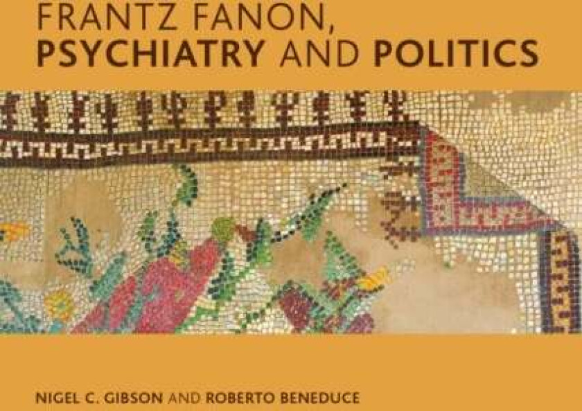 Frantz Fanon, Psychiatry and Politics av Nigel C. Gibson, Roberto Beneduce
