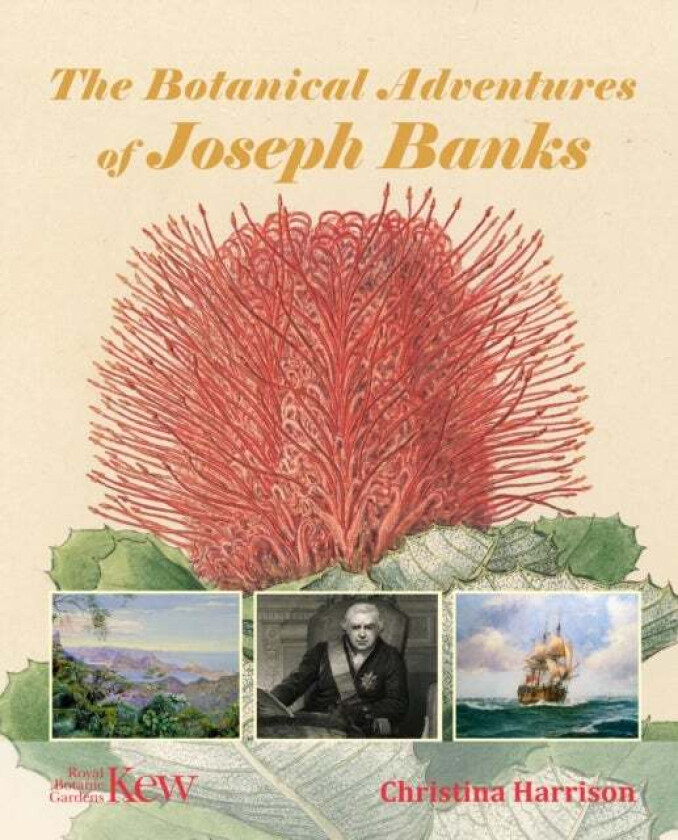 The Botanical Adventures of Joseph Banks av Christina Harrison