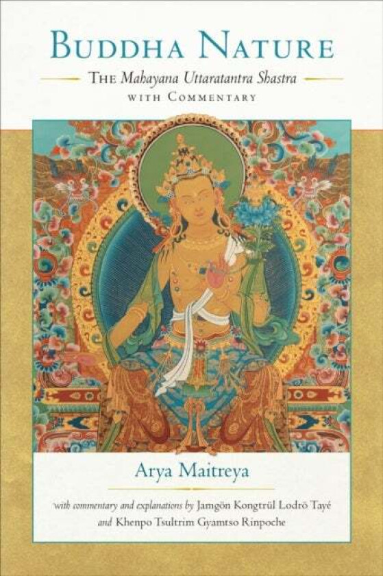 Buddha Nature av Arya Maitreya, Taye Lodro