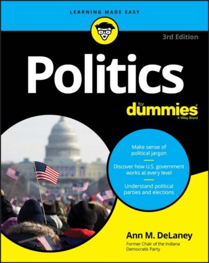 Politics For Dummies av Ann M. DeLaney